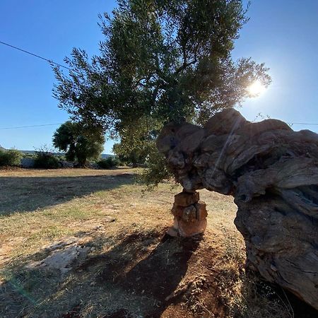 Racconti Di Pietra Panzió Conversano Kültér fotó